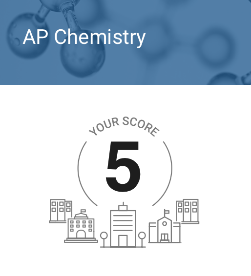 AP 5 — real score report